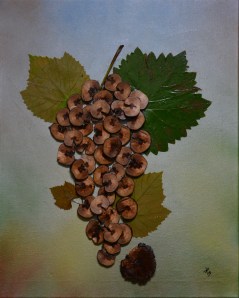 Trauben _2