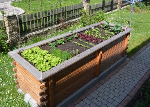 Hochbeet Software_1