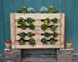 ????????????????????????????????????