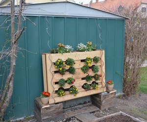 ????????????????????????????????????