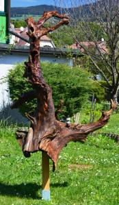 ????????????????????????????????????